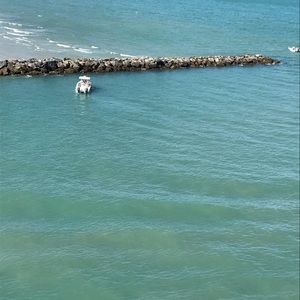 Meet your Posher, Daiana